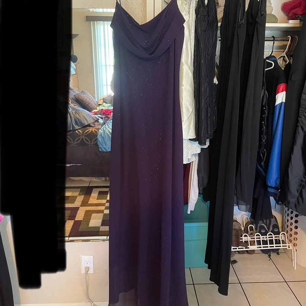 Karina Nites Purple Dress